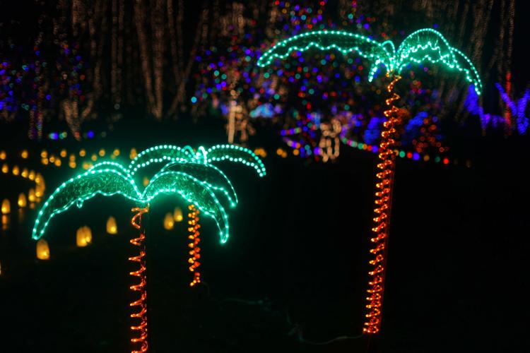 Norfolk Botanical Gardens Lights Promo Code Shelly Lighting