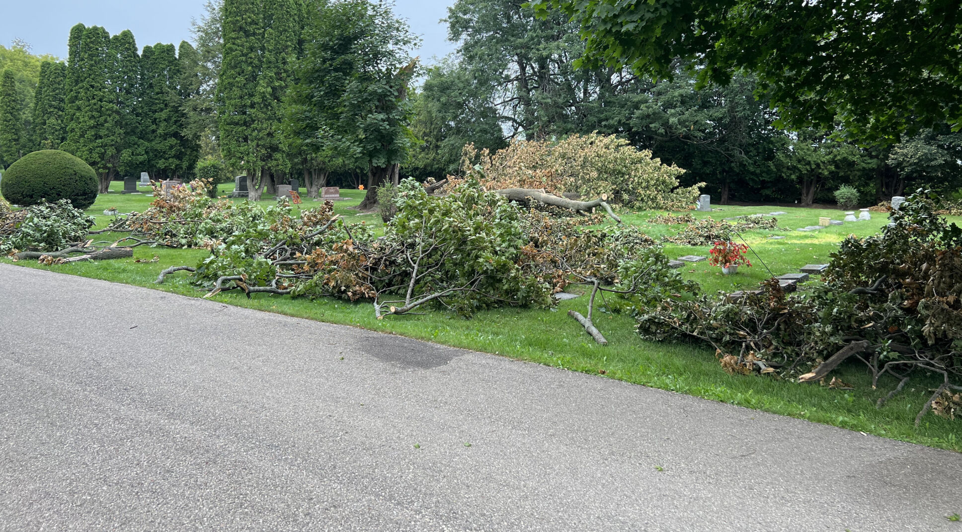 Storm Cleanup Starts In Eastlawn Cemetery's Section 5 | Local News ...