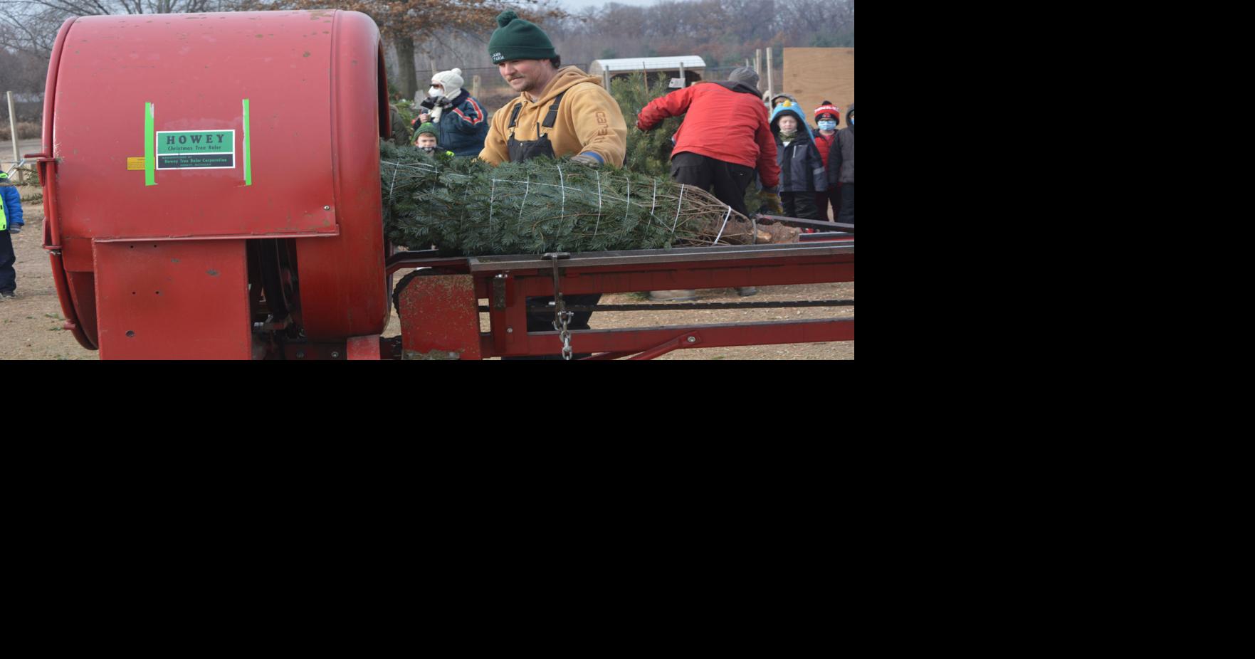 Williams Tree Farm marks 75 years | Illinois News | beloitdailynews.com