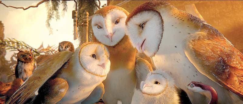 cuddly owls