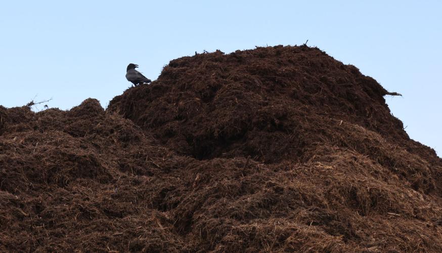 Knott Landfill is churning Bend's yard debris into compost Local