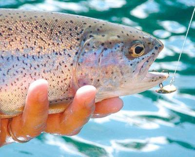 Seven secrets to a stringer full of opening-day trout