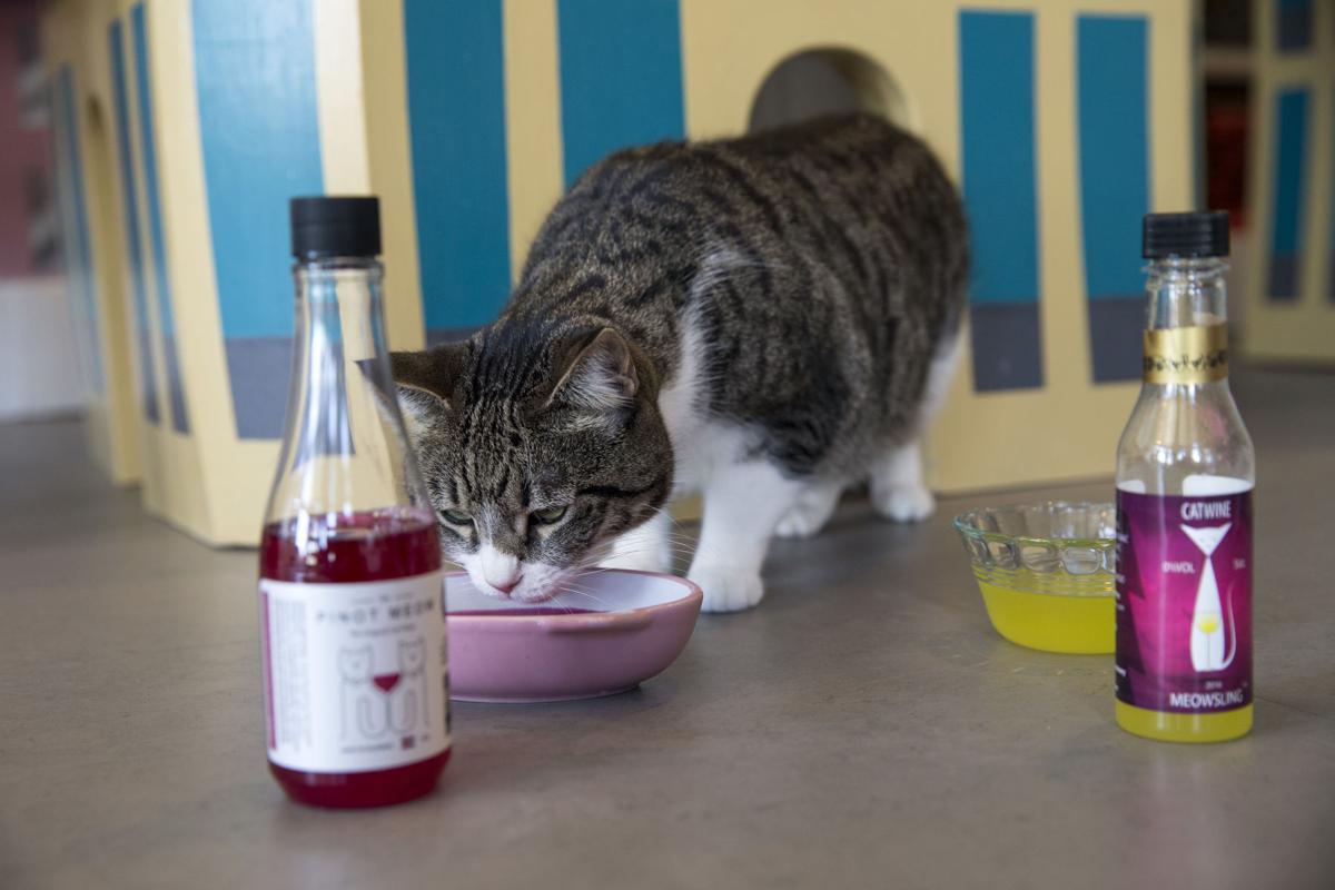 Feline Wine Business Bendbulletin Com