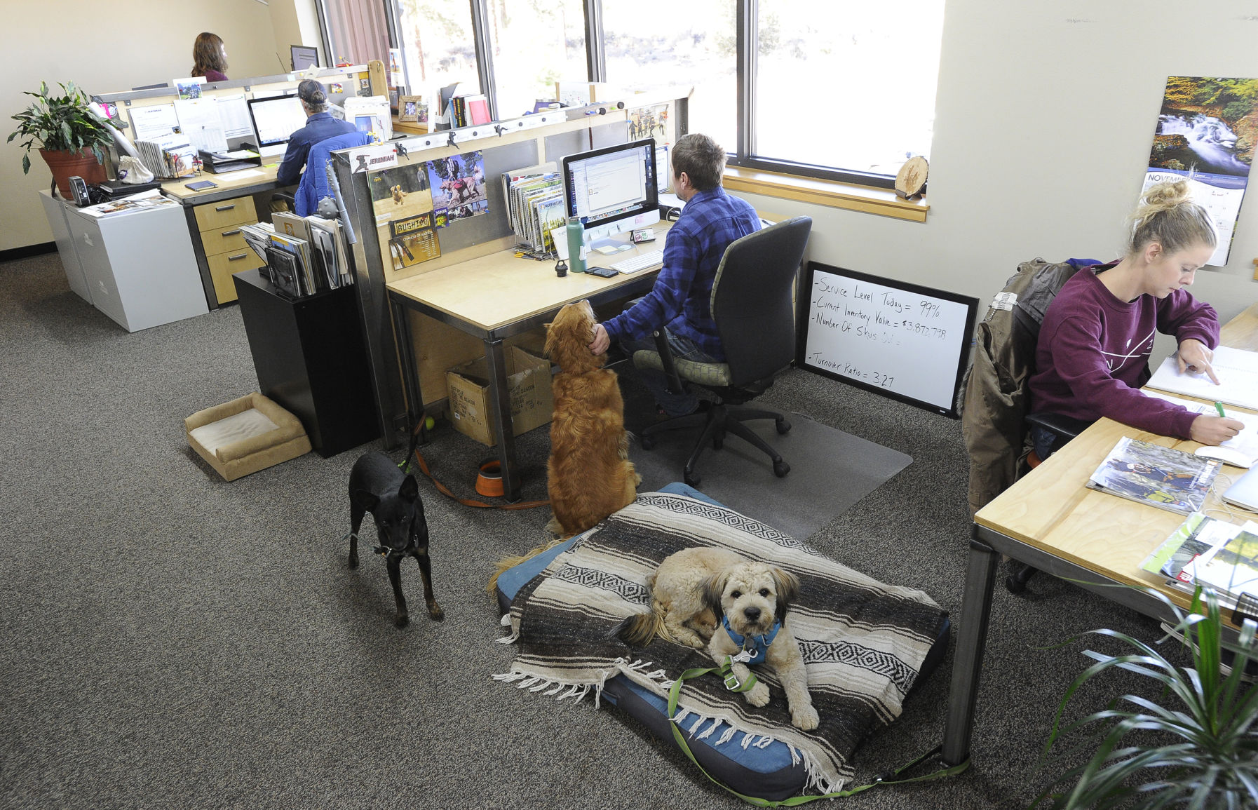 Ruffwear to create co working space for outdoor industry