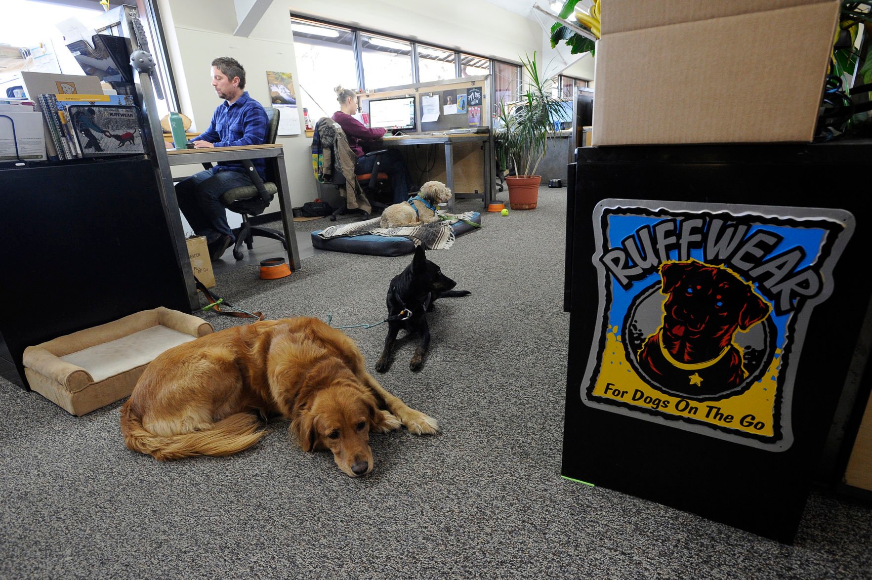 Ruffwear lays cuts 11 positions Local State bendbulletin