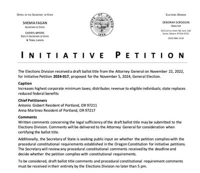 Initiative Petition 17