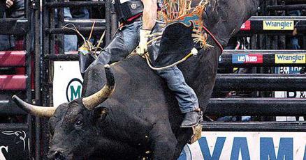 Brazilian Bull Rope: Mastering the Rodeo with Grit
