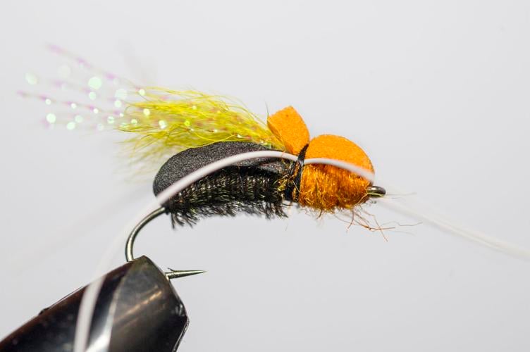 Flies for Hatches - Trout Zone Anglers, LLC