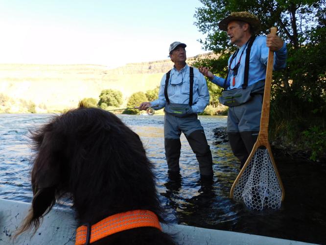 After The Hatch, Deschutes fly-fishing just gets better