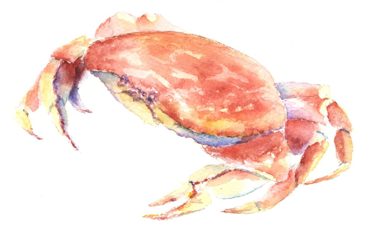 How To Pull Off A Crab Feed Lifestyle Bendbulletin Com