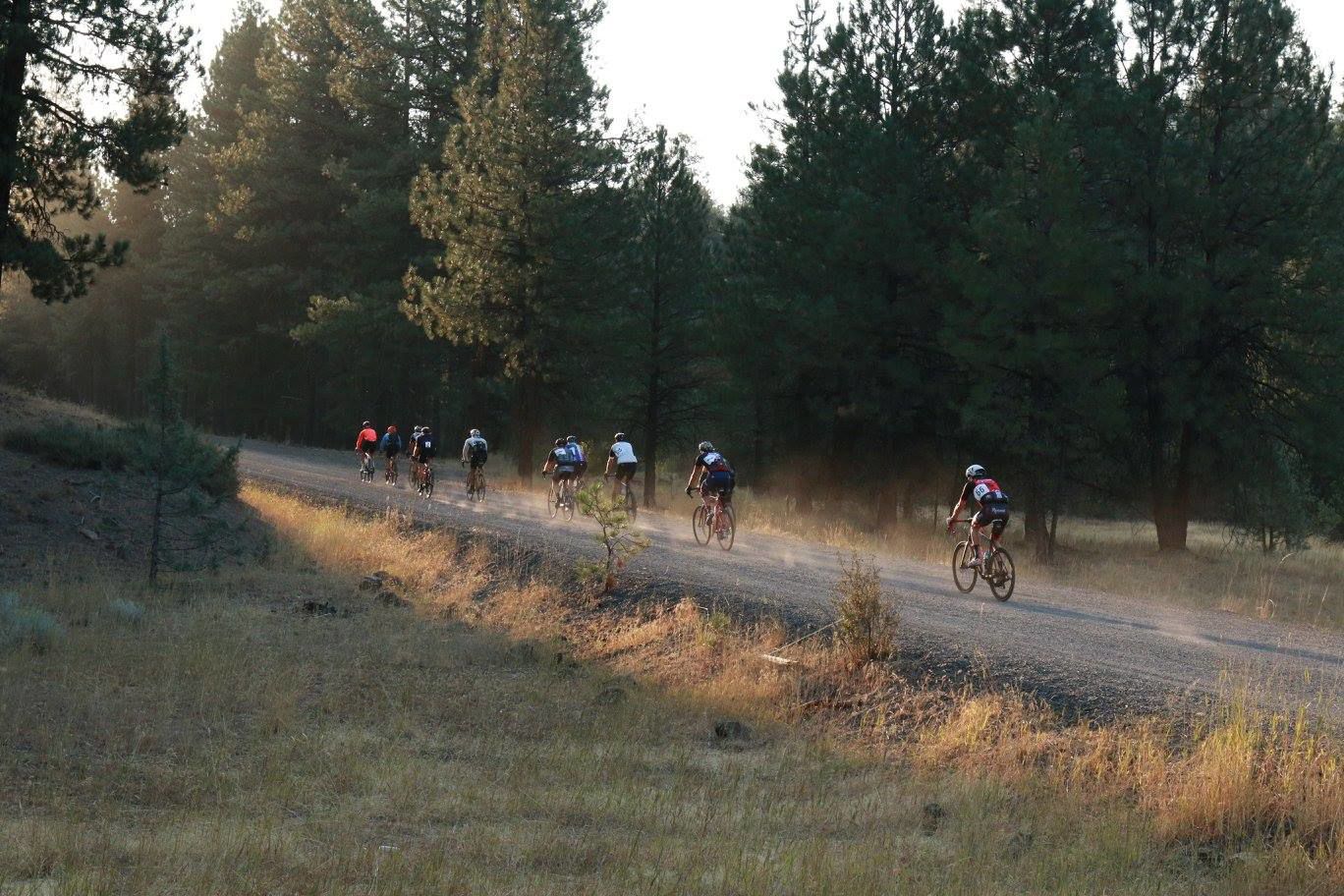 cascade gravel grinder