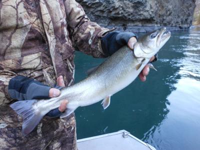 Fishing Lake Billy Chinook In Winter Go Magazine Bendbulletin Com