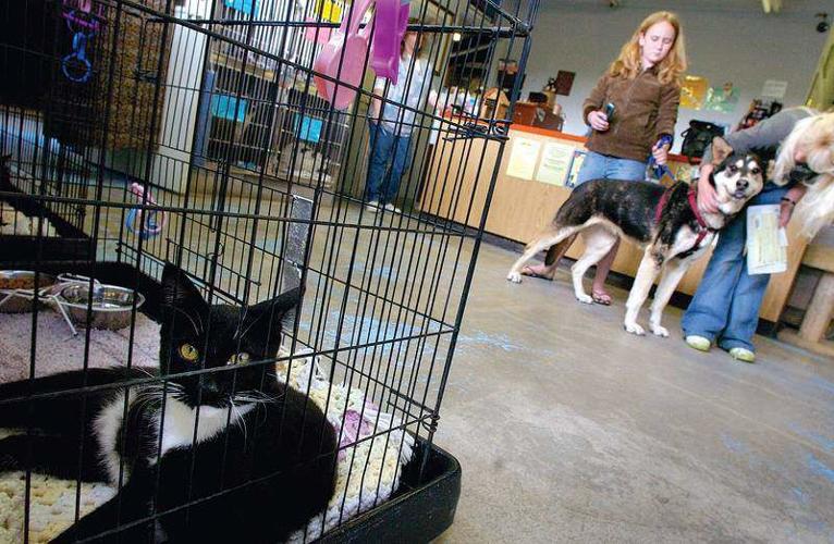 No-kill policy has Humane Society looking for room to grow | Local&State |  