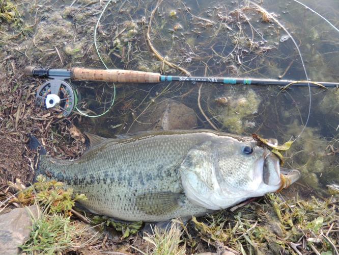 Fly rod bugs for largemouth bass, Outdoors