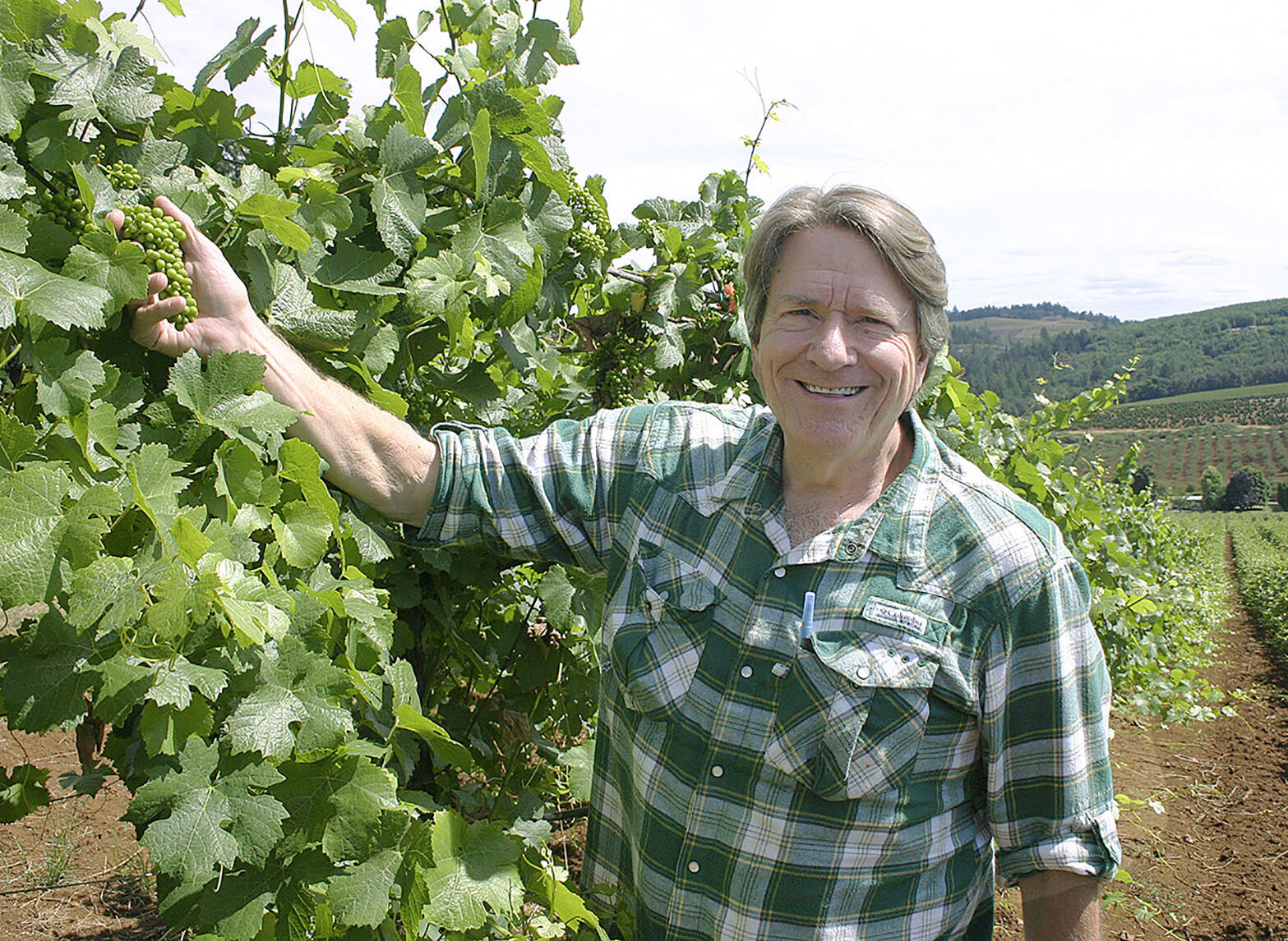 how to build a winery how to build a winery
