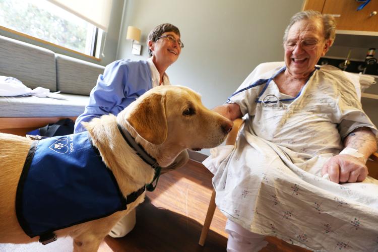Central Oregon hospitals tighten therapy dog rules | Health | Central Oregon hospitals tighten therapy dog rules | Health |