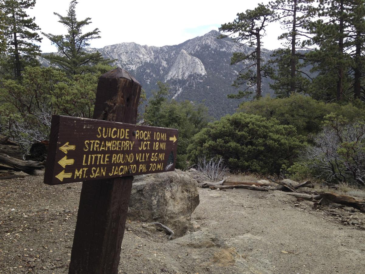 Idyllwild A Mountain Town That Has Gone To The Dogs Lifestyle Bendbulletin Com