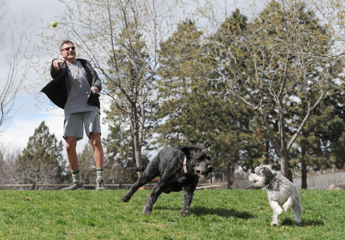 Top Dog Breeds Names In Deschutes County Local State Bendbulletin Com