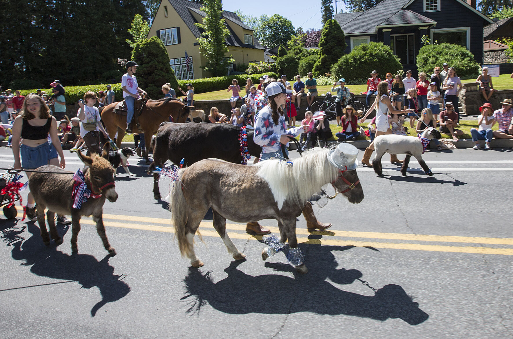 Bend Pet Parade returns after 2year hiatus Local&State