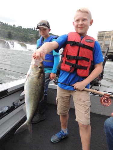 Fly-fishing for shad on the Willamette River
