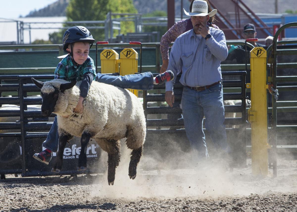 Crook County holds Central Oregon's only fair during pandemic Local