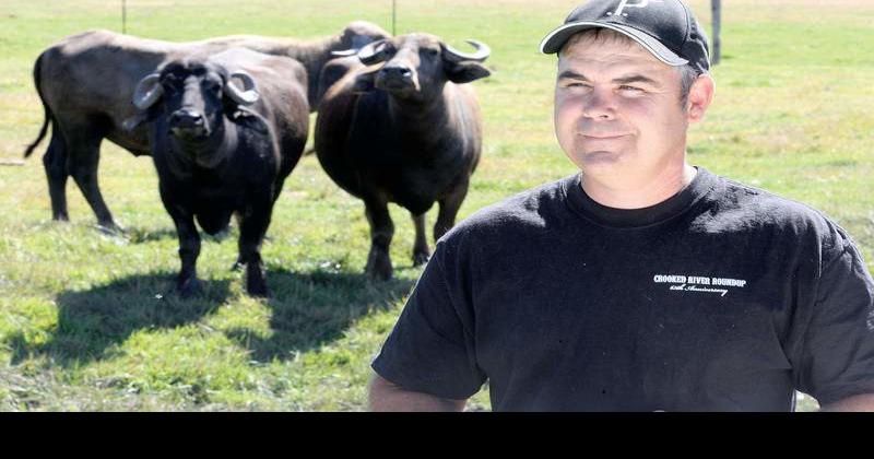 Riverine Ranch, Where the (Water) Buffalo Roam