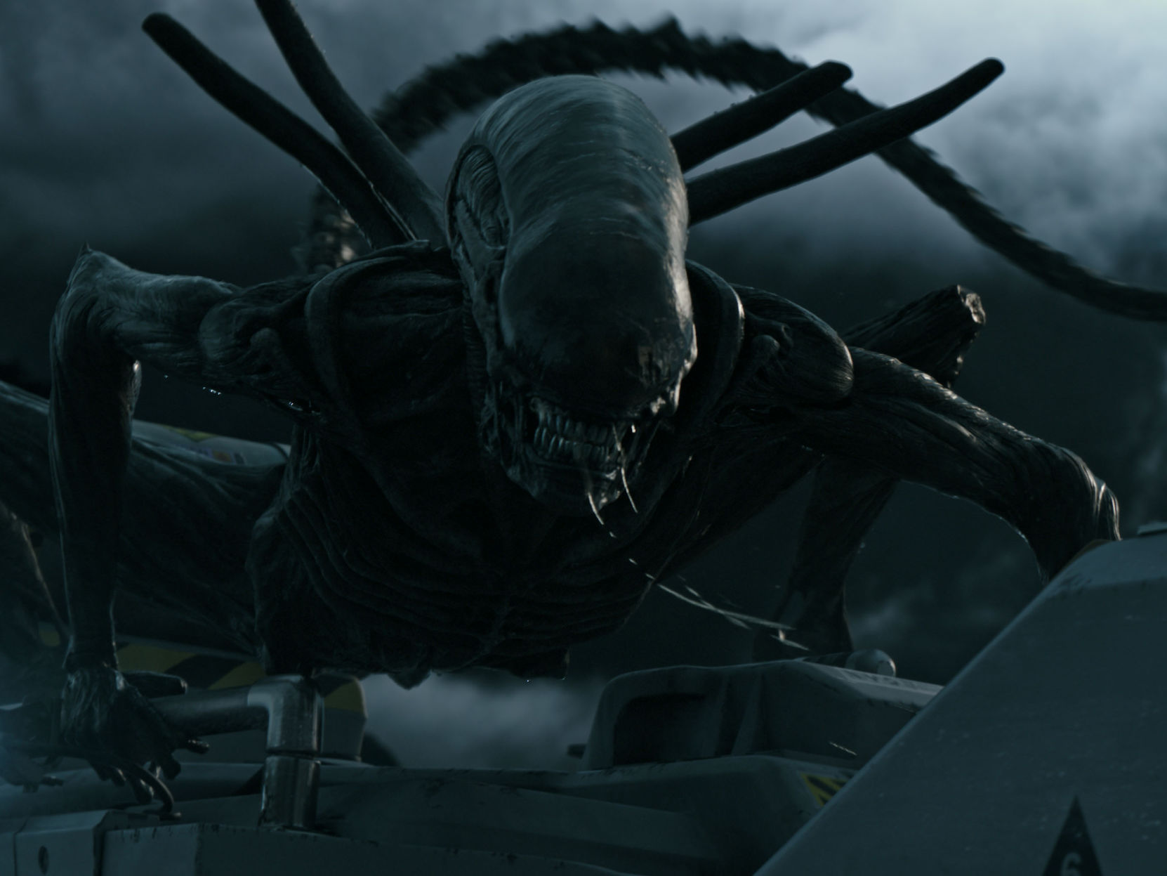 Alien' movie monster inspired by Earth's parasites | Nation |  bendbulletin.com