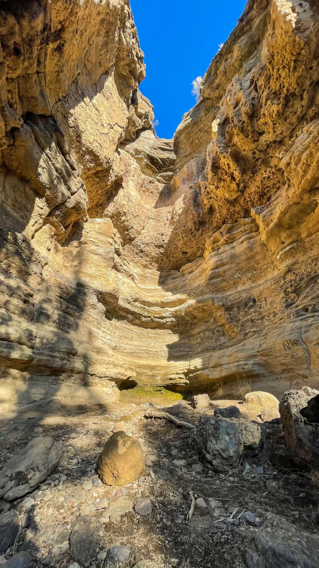 Walking above the Whychus at Alder Springs | Explore Central Oregon