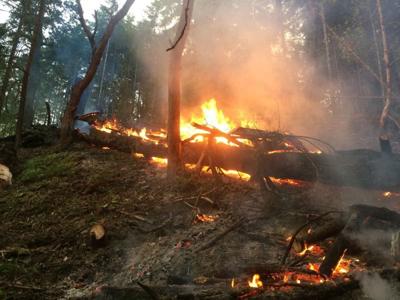 Oregon wildfires