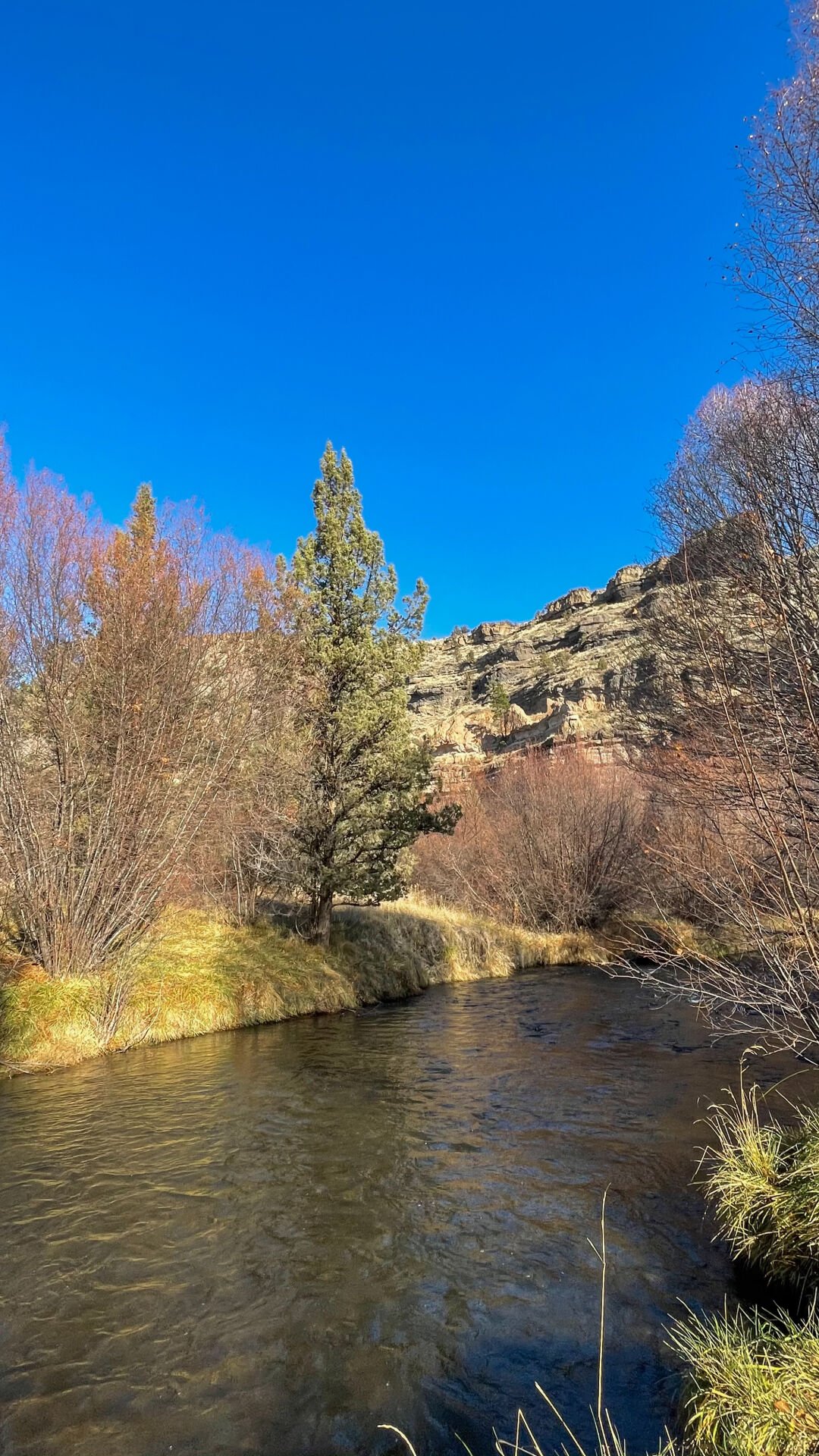 Walking above the Whychus at Alder Springs | Explore Central Oregon ...