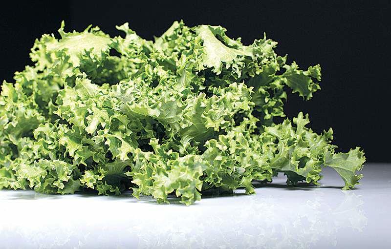Frisee Adds Bitterness To Salads Lifestyle Bendbulletin Com