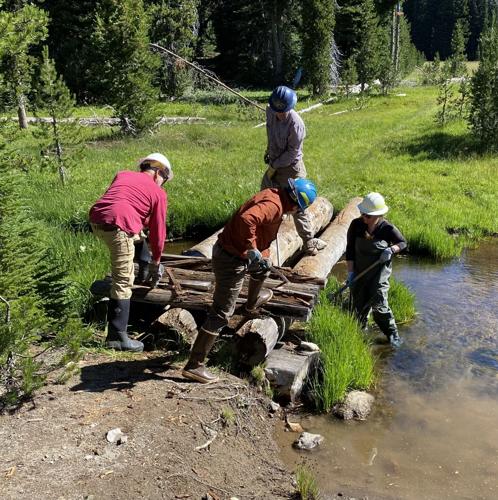 Where Can I Find Trail Maintenance Volunteer Opportunities  - Discover the Best Spots