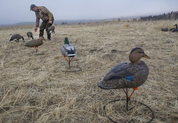 A Ducks Unlimited Guide to Hunting Diving & Sea Ducks - Gary