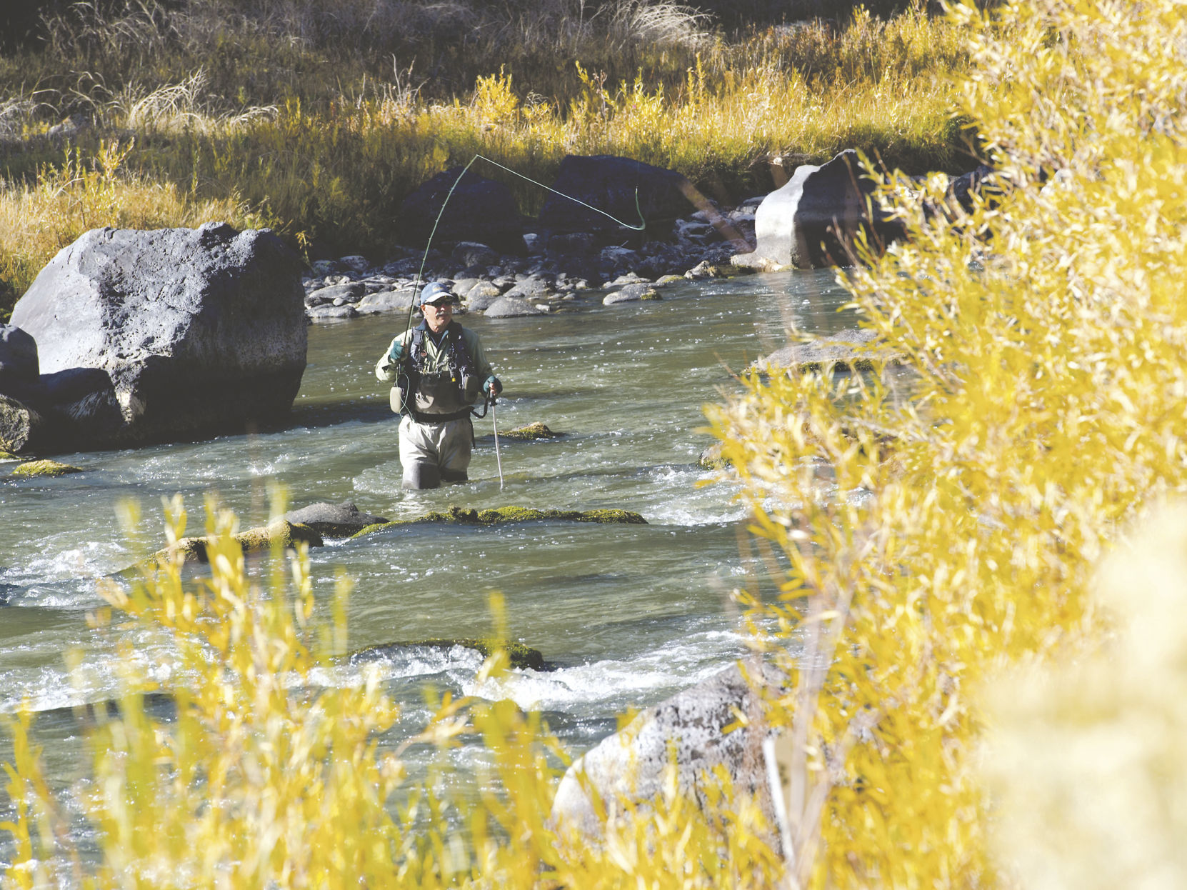 Odfw fishing regulations sales