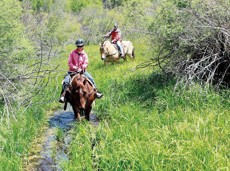 blundstone for horseback riding