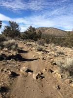 Explore More: Oregon Sunshine Trail and Pumice Foot Trail Loop