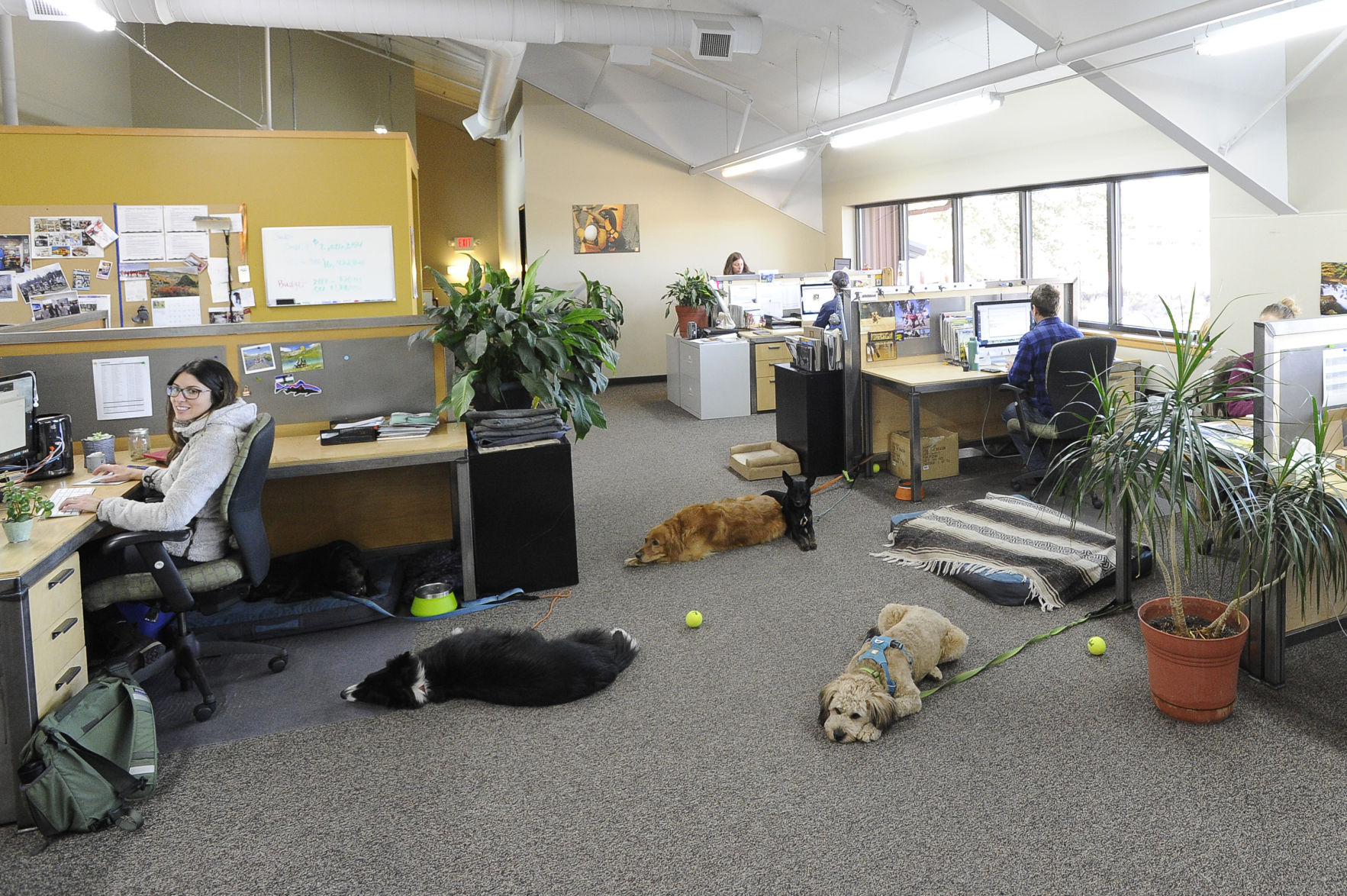 Ruffwear to create co working space for outdoor industry