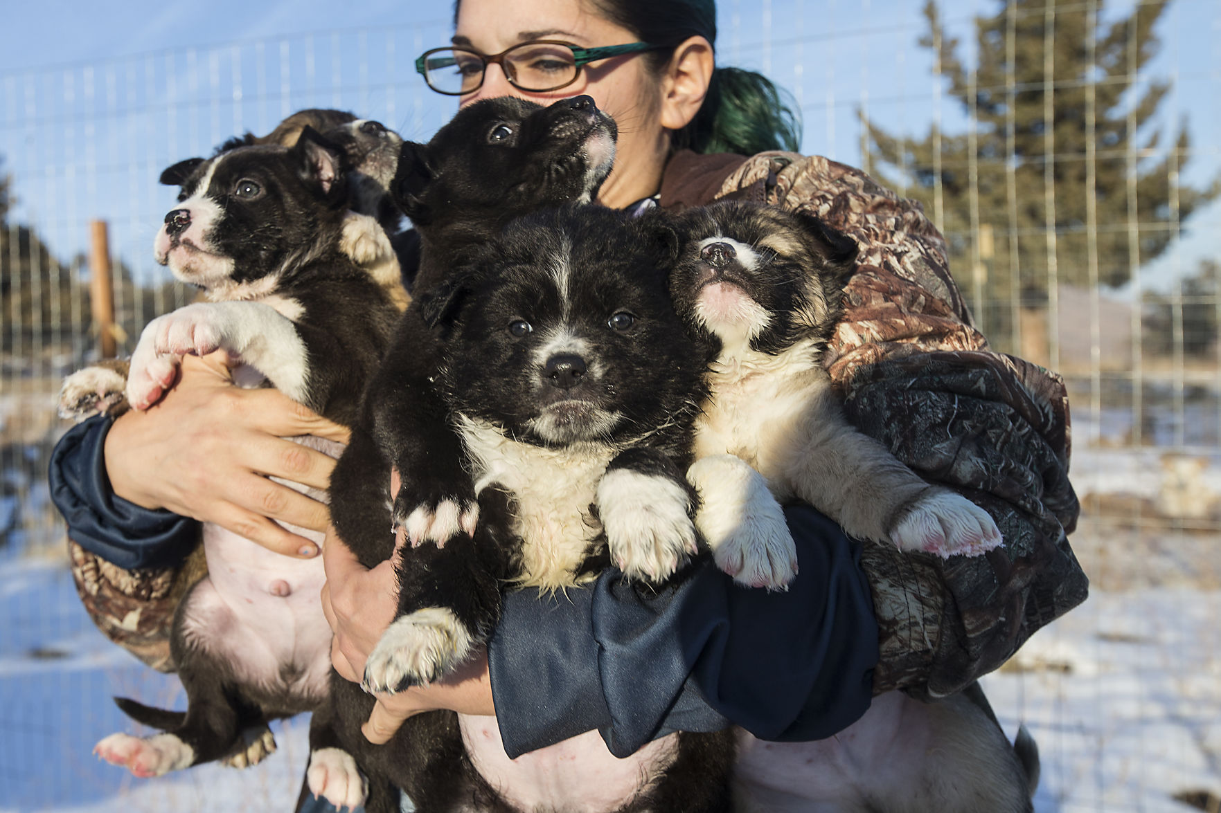 Dog Lady' of Warm Springs a crucial link for a community