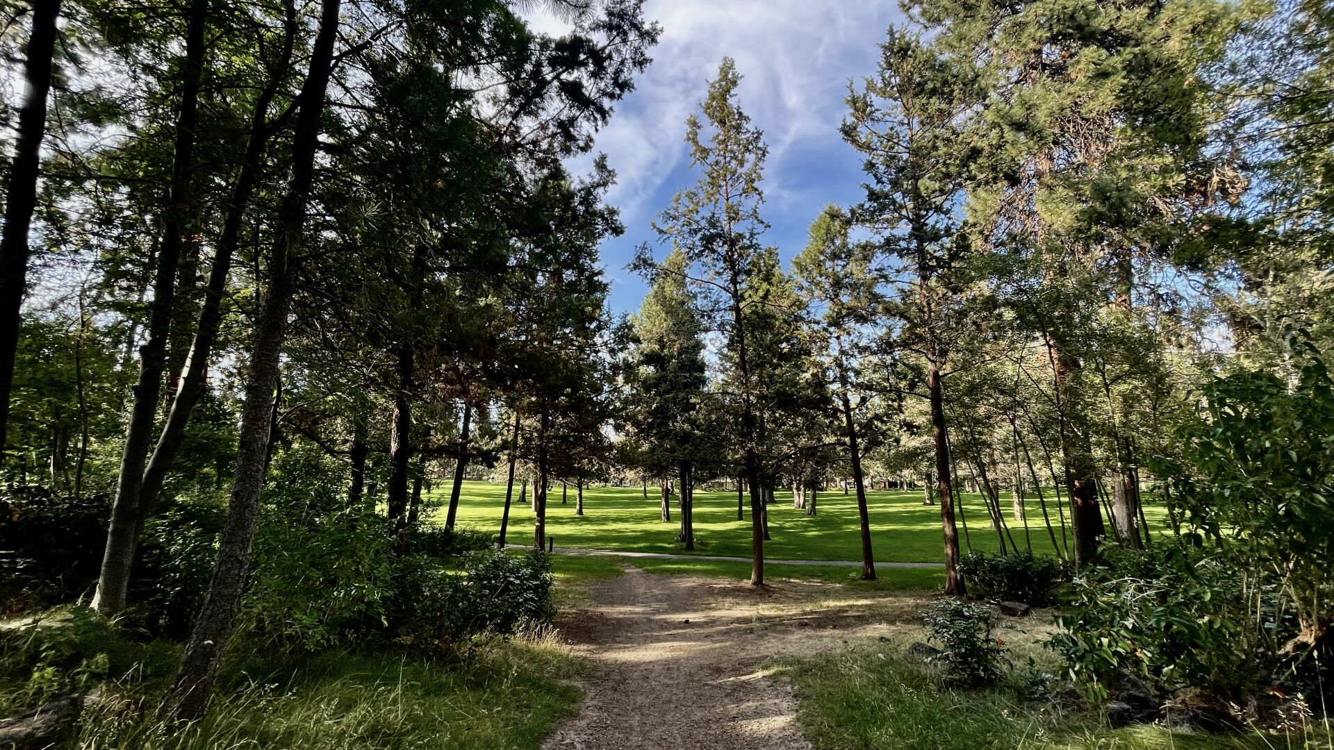 juniper park juniper park