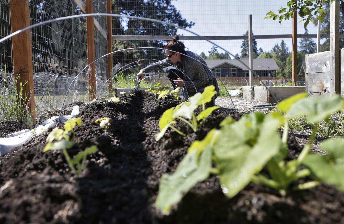 Funds Needed For Central Oregon School Gardens Local State