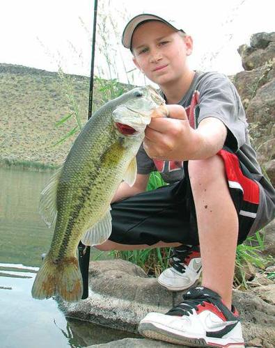 Places to fish from the bank, Local&State