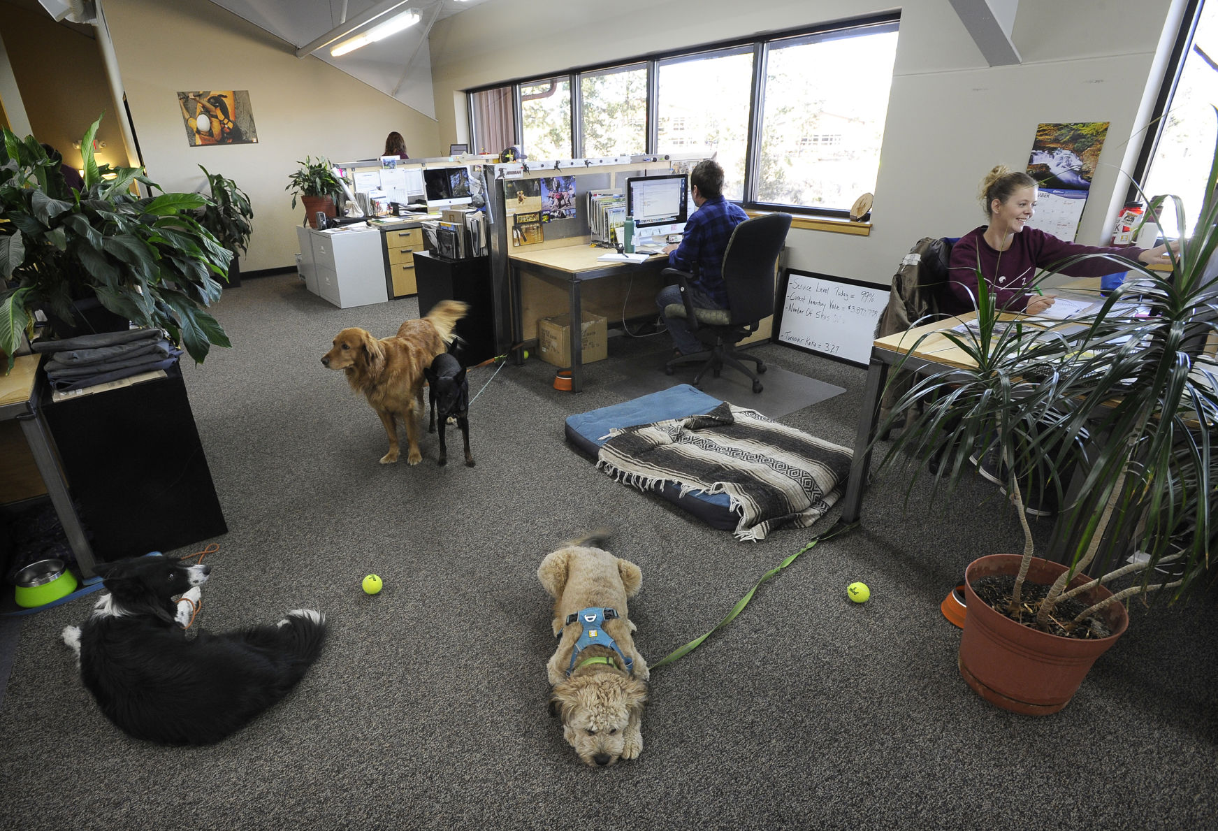 Ruffwear to create co working space for outdoor industry