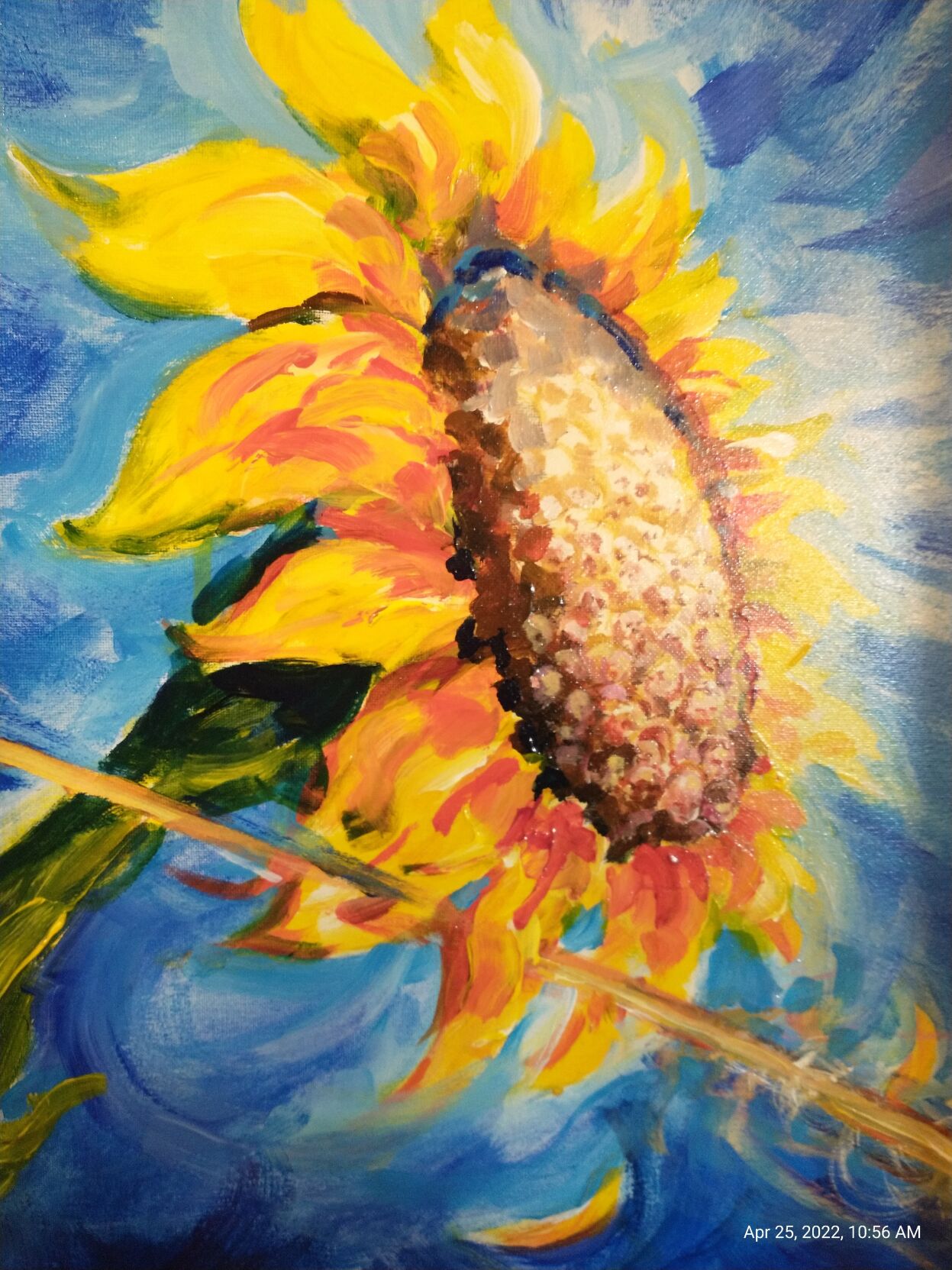 Sunflower exhibit in Redmond to benefit Ukraine | lifestyle ...