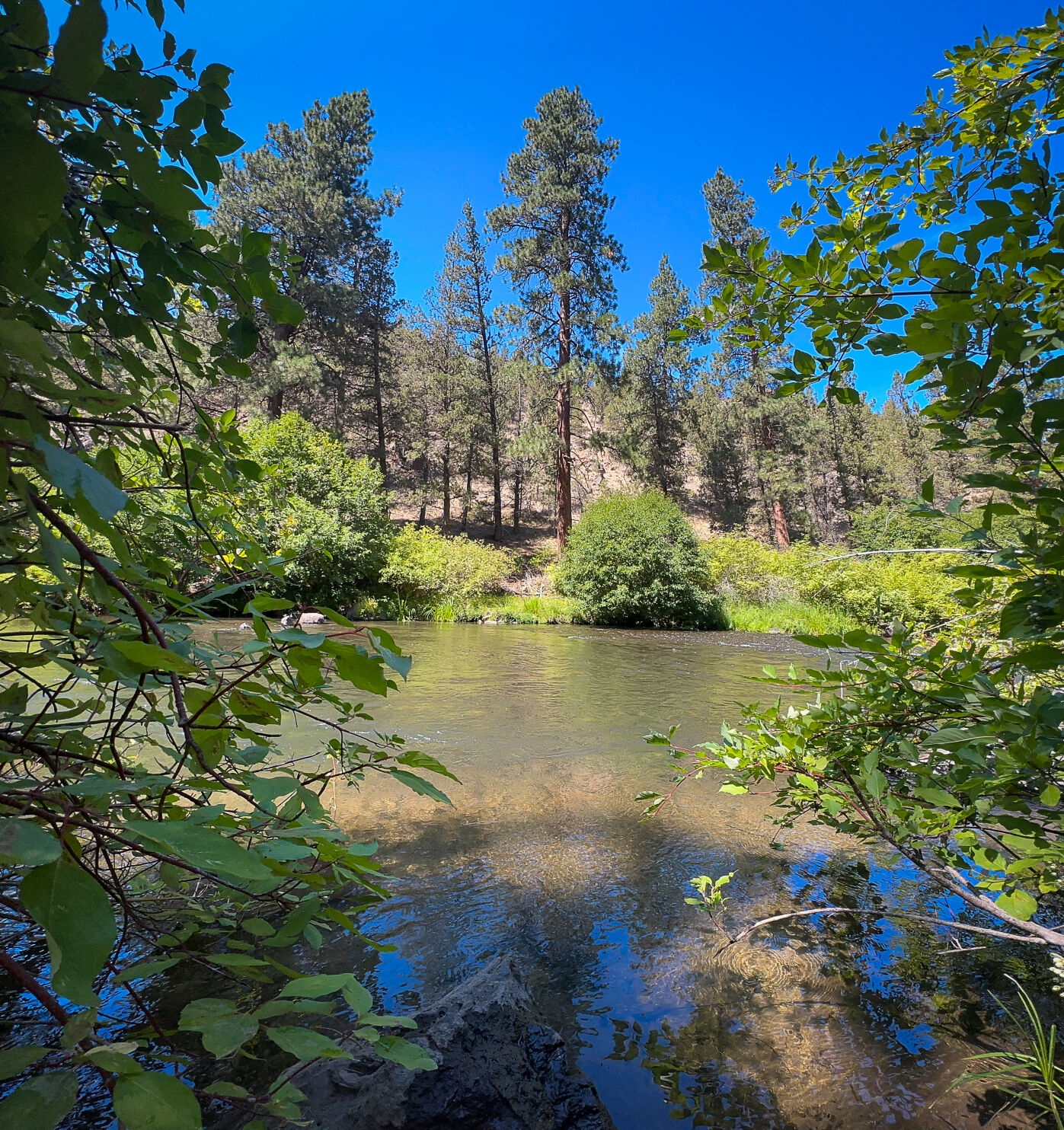 Tumalo state outlet park hiking