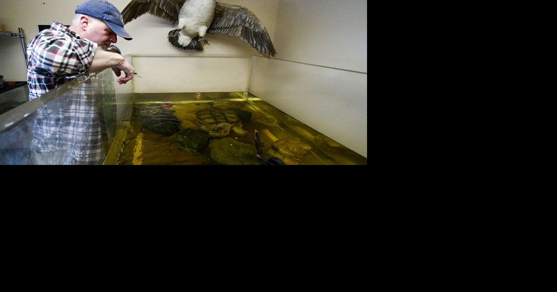 Vermont Museum of Natural History receives Nonprofit Capacity Building Grant