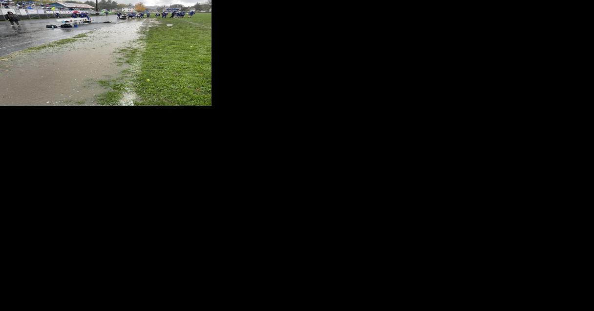 'Just the field, track and lighting': Panel to hear from builders, turf company on scaled-back Spinelli plan - Vimarsana News