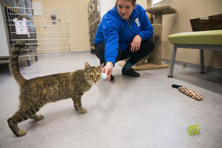 Photos These Pets of the Week need you today! Local News