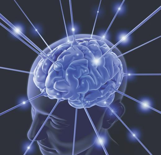 brain image WEB ONLY