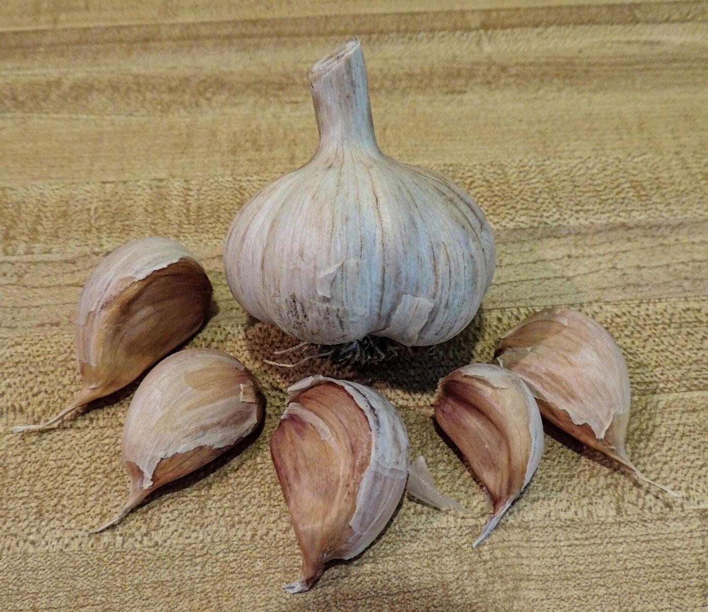 garlic1.jpg