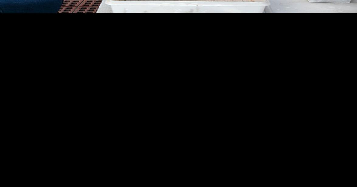 Making cider donuts in Manchester Bennington Banner